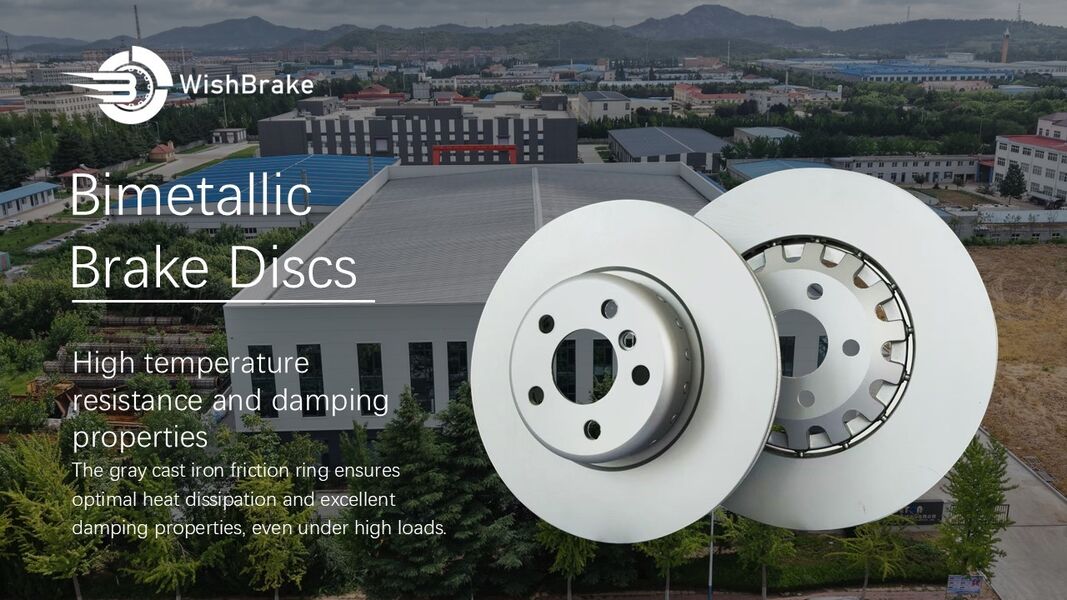 QINGDAO WISH AUTO PARTS CO.,LTD. Hersteller-Produktionslinie